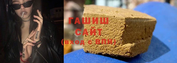 ECSTASY Ельня