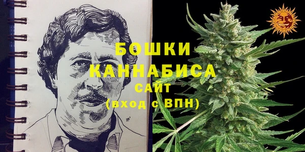 индика Заводоуковск