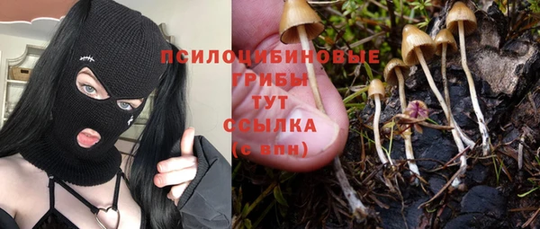 spice Зеленодольск