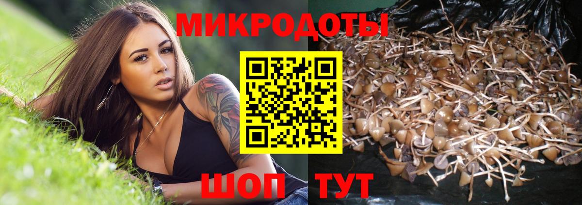 Вологда  Псилоцибиновые грибы Psilocybe  Галлюциногенные грибы ЛСД  Вход с VPN 