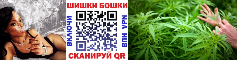 Марихуана сатива  где найти наркотики  KRAKEN tor  Вологда 