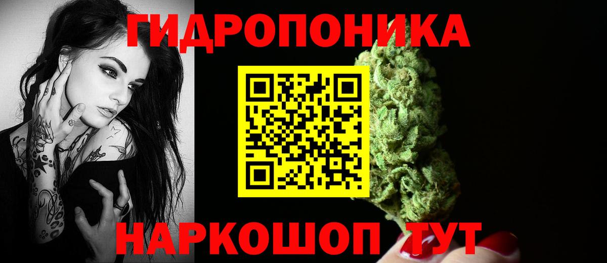 Шишки марихуана сатива Вологда